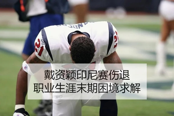 戴资颖印尼赛伤退 职业生涯末期困境求解
